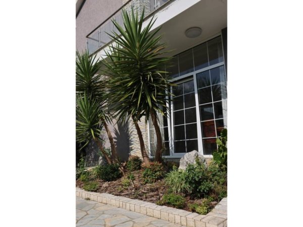 Tirane, shitet Vile 2+1 Kati 2, 214 m² 300.000 € (Tufine)