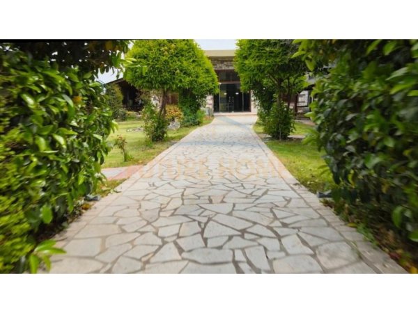 Tirane, jepet me qera 1 Katshe Kati 0, 3.500 m² 1.300 € 