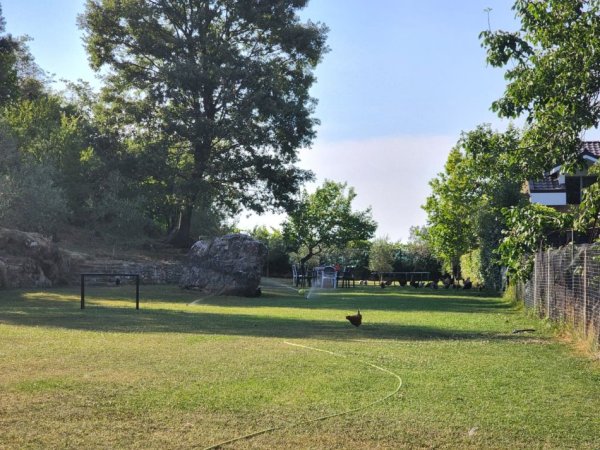 WhatsApp Image 2025-10-20 at 13.34.50 (1).jpeg