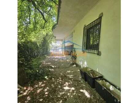 Tirane, shitet Vile , 371 m² 530.000 € 