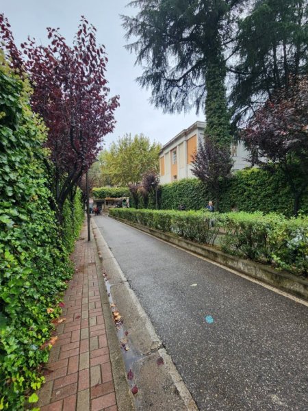 ✨2+1+ Kuzh. me Vete + 2wc brenda Kmpl. Panorama - Harry Fultz | 750 Euro/Muaj i Kompletuar (Kat. 7) 2 Ashensore