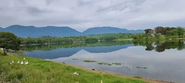 Tirane, shitet apartament , 70 m² 140.000 € (Buze rruge)