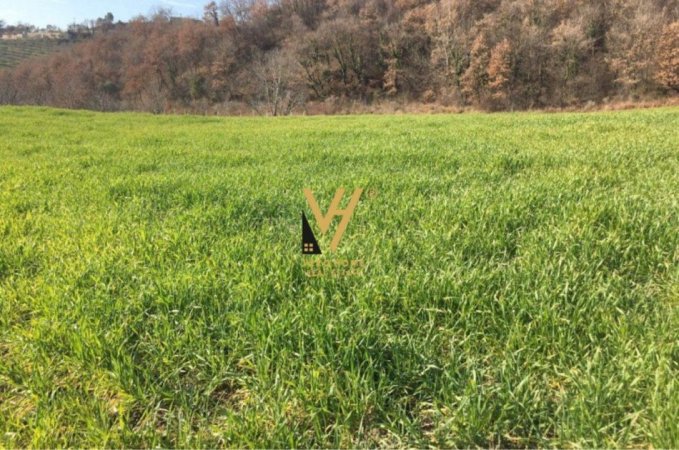 Tirane, shitet truall , 3.200 m² 380.000 € (QTU)