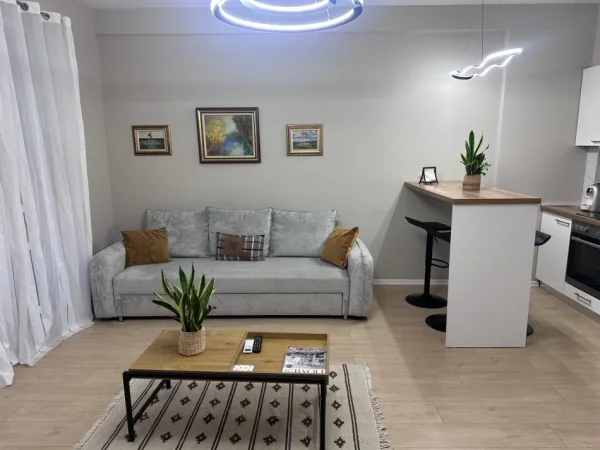 Apartament me Qira tek Rruga e Elbasanit tek Shkolla e Baletit  650 €uro