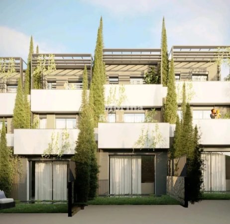 morina real estate copyright (2).jpeg