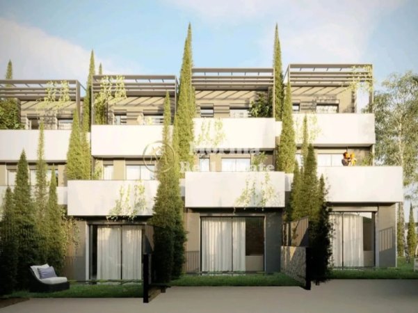 morina real estate copyright (6).jpeg