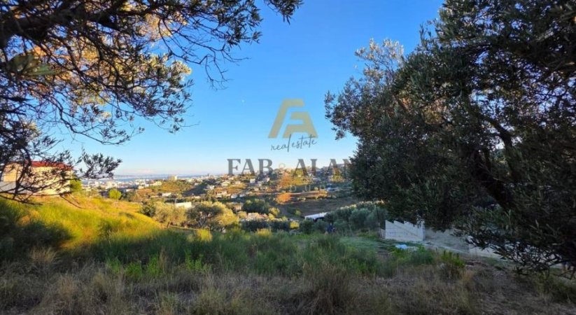 Durres, shitet toke , 2.500 m² 112.500 € (Spitalle)