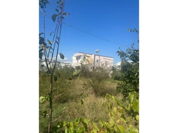 Tirane, shitet toke , 990 m² 175.000 € (Kamez)