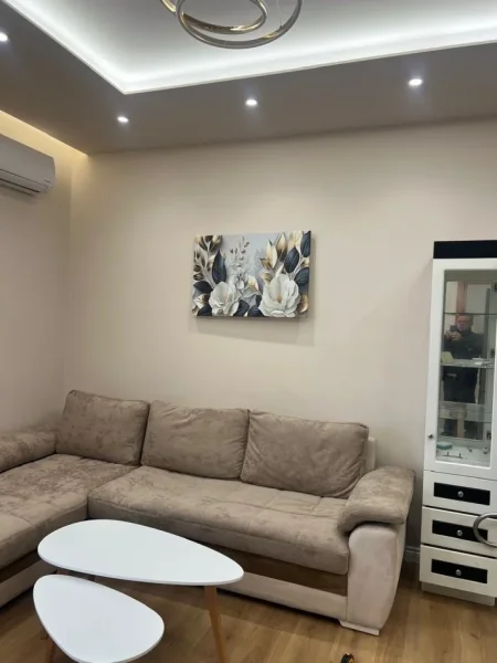Tirane, jepet me qera apartament 1+1 Kati 6, 70 m² 600 € (Delijorgjit)
