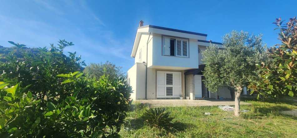 Tirane, shitet Vile , (Yrshek)