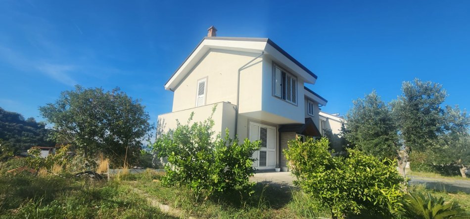 Tirane, shitet Vile , (Yrshek)