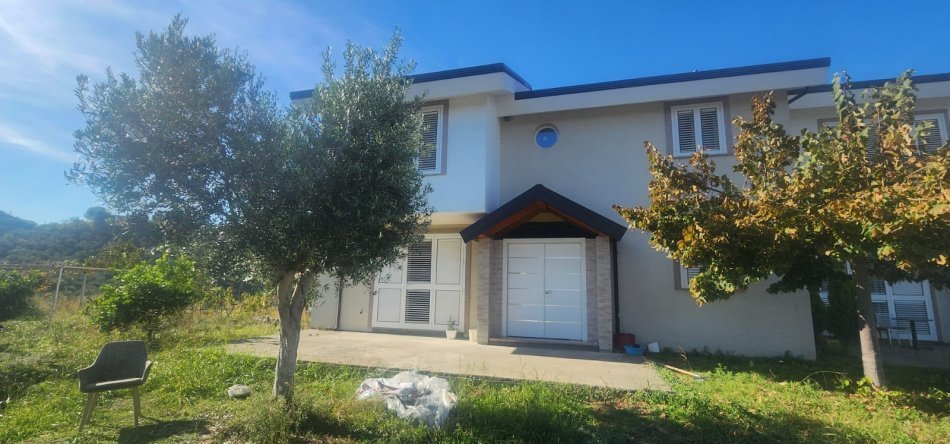 Tirane, shitet Vile , (Yrshek)