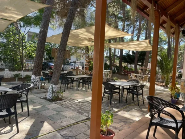 🍹 Lokal me Qira – 📍Golem, Durrës