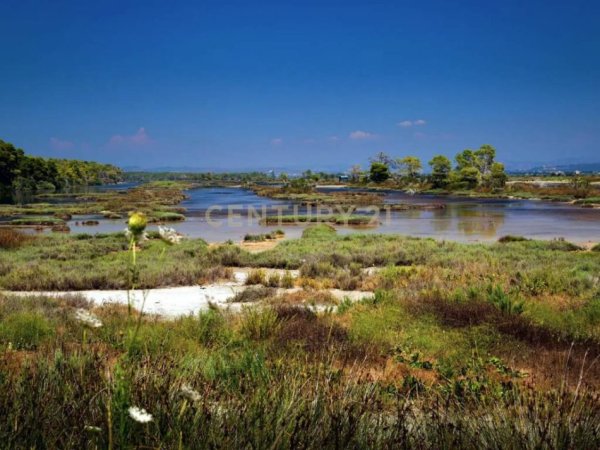 Divjake, shitet toke , 3.936 m² 365.000 € (DIVJAKE)