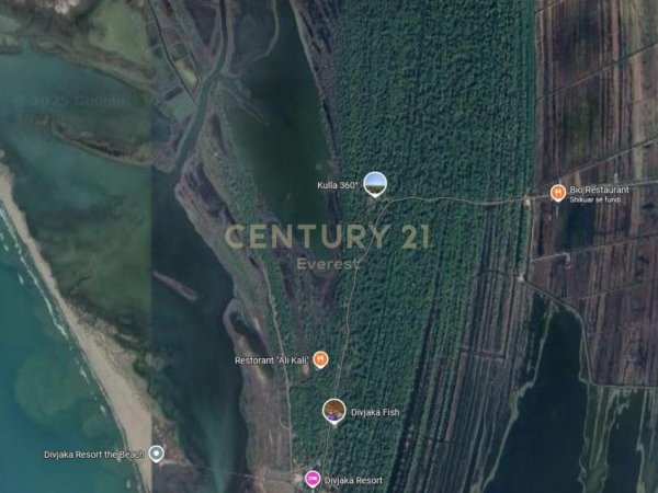 Divjake, shitet toke , 3.936 m² 365.000 € (DIVJAKE)