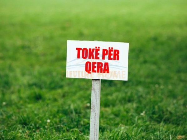 Tirane, jepet me qera toke , 25.000 m² (Rinas)