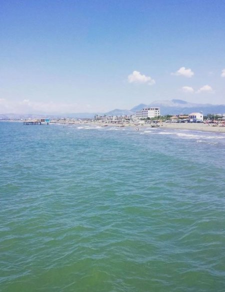 SHITET TOKË NË TALE / LEZHE me Siperfaqe 10.000 m² , Cmimi 1.600.000 €uro