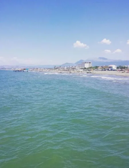 SHITET TOKË NË TALE / LEZHE me Siperfaqe 10.000 m² , Cmimi 1.600.000 €uro