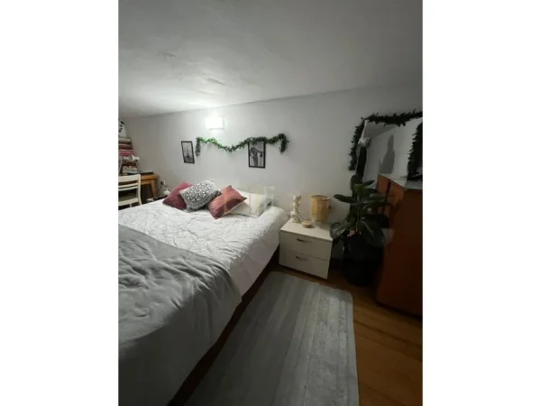 Tirane, shitet apartament duplex 1+1 Kati 1, 60 m² 75.000 € (rruga 5 maji)