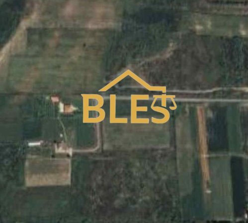 Lezhe, shitet toke ne bregdet , 10.000 m² (Tale2)