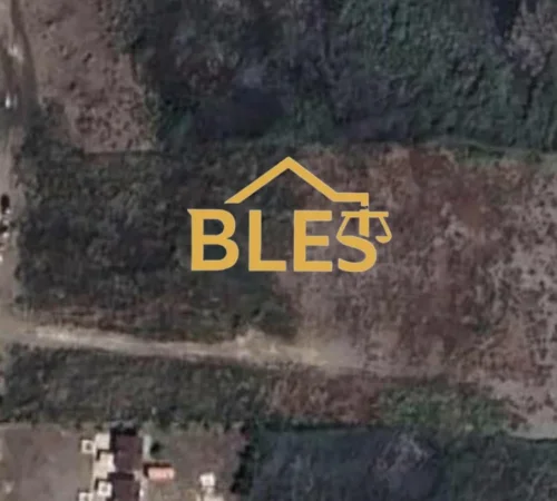 Lezhe, shitet toke ne bregdet , 10.000 m² (Tale1)