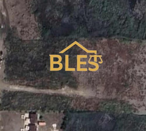Lezhe, shitet toke ne bregdet , 10.000 m² (Tale1)