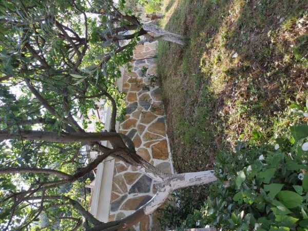 Tirane, jepet me qera Vile. 1.150 m² 3.000 Euro (Dervish Shaba)