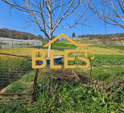 Tirane, shitet toke , (Fshati Gropje)