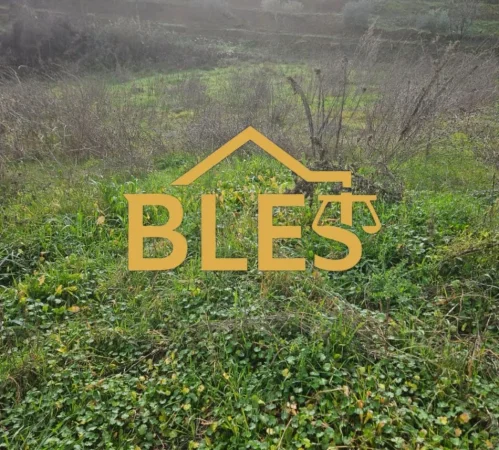 Tirane, shitet toke , (Fshati Gropje)