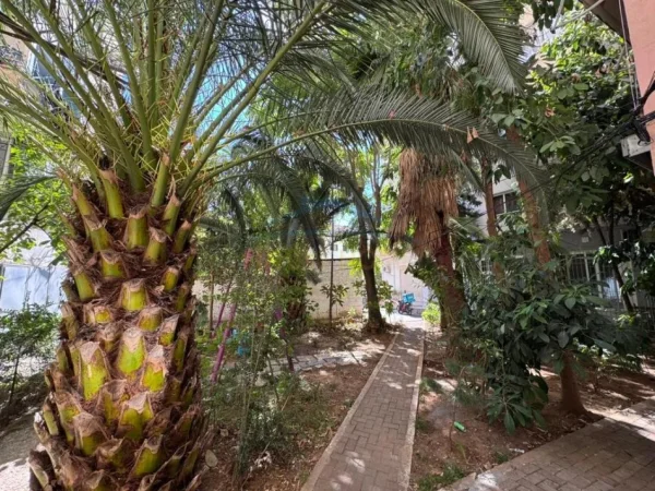 Qera, Apartament 2+1, Brryli , Tirane 650 €