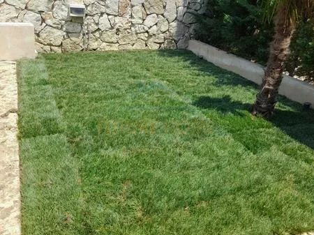 Tirane, shitet Vile Kati 0, 172 m² 1.300.000 € 