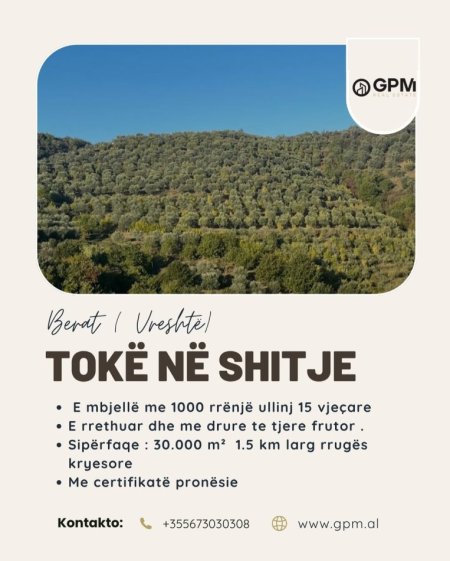 Berat, shitet toke , 30.000 m² 