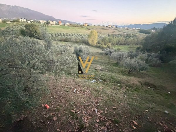 Tirane, shitet toke , 11.500 m² 2.000.000 € (FARKE)