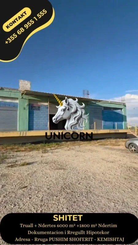 Lushnje, shitet ambjent biznesi Kati 0, 