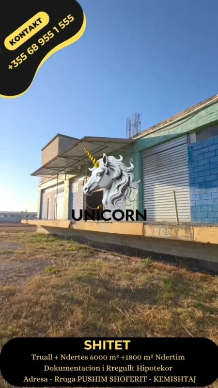 Lushnje, shitet ambjent biznesi Kati 0, 