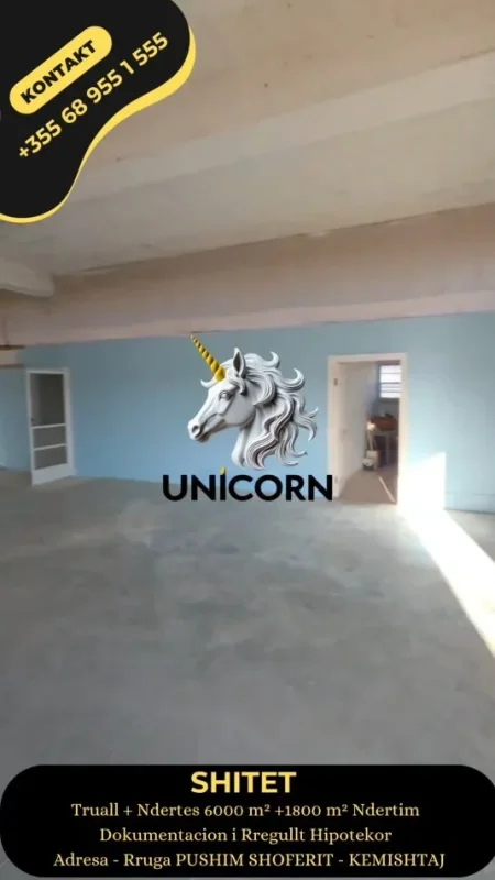 Lushnje, shitet ambjent biznesi Kati 0, 