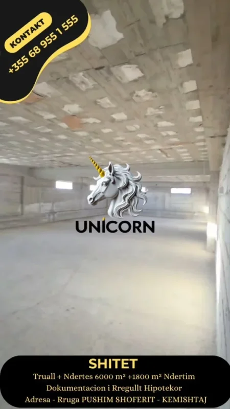 Lushnje, shitet ambjent biznesi Kati 0, 