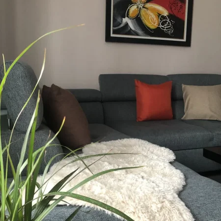 Tirane, jepet me qera apartament 1+1+Ballkon Kati 6, 83 m² 40 € (Rruga Gjon Buzuku)