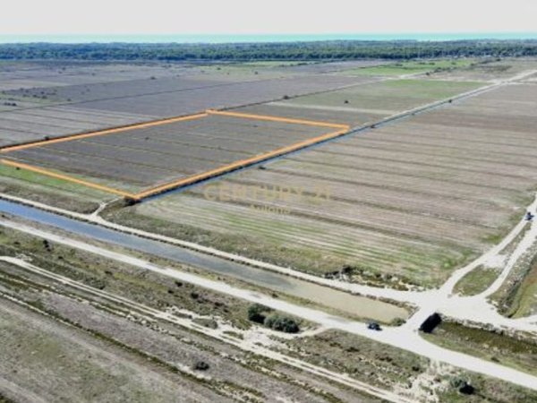 Vlore, shitet toke , 36.390 m² 650.000 € (Prane Aeroportit , Novosele)