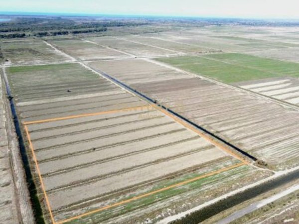 Vlore, shitet toke , 36.390 m² 650.000 € (Prane Aeroportit , Novosele)