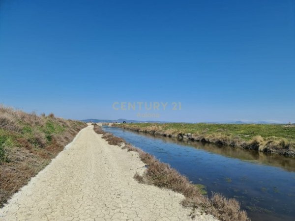 Vlore, shitet toke , 36.390 m² 650.000 € (Prane Aeroportit , Novosele)