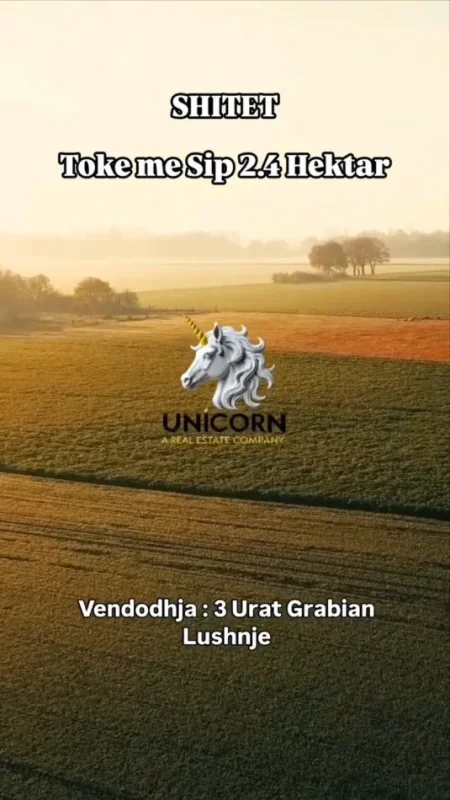 Shqiperi, shitet toke , 24.000 m² 