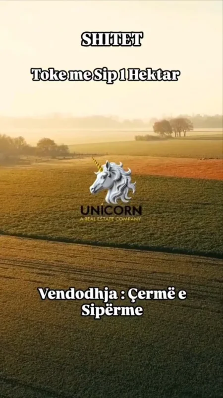 Lushnje, shitet toke bujqesore , 10.000 m² 