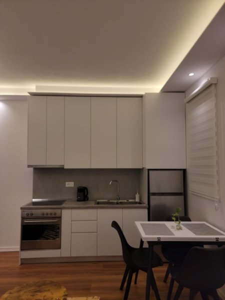 Tirane, jepet me qera Vile 1+1 Kati 1, 55 m² 610 € (Rruga e Durresit)