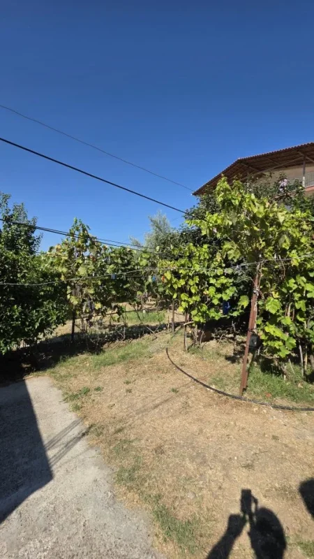 Lushnje, shitet apartament 1 Katshe Kati 0, 300 m² 