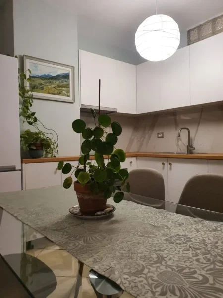 Tirane, jepet me qera apartament 1+1+Ballkon Kati 6, 94 m² 600 € (Prane Shkollës Mihal Grameno,)