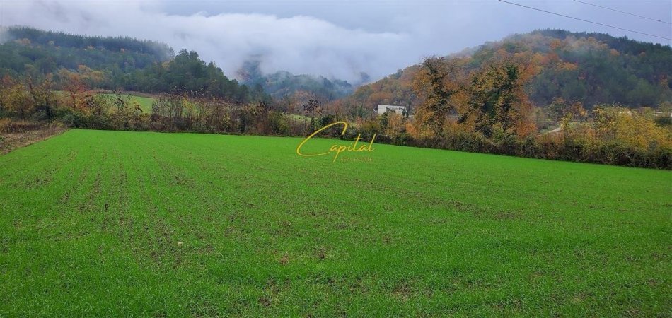 Tirane, shitet toke , 3.500 m² 315.000 € (PETRELE)