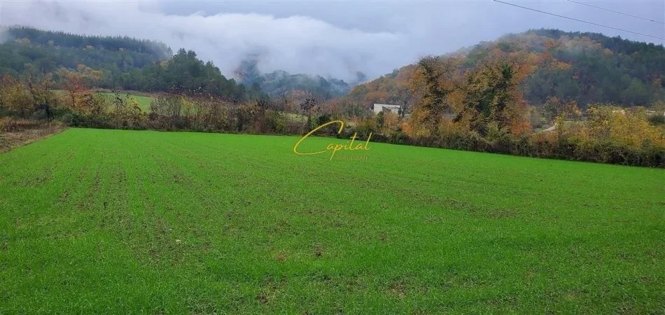 Tirane, shitet toke , 3.500 m² 315.000 € (PETRELE)