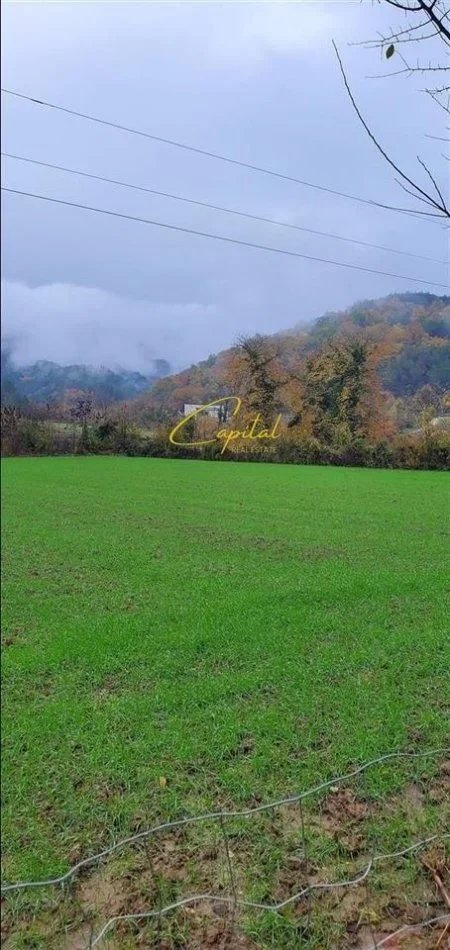 Tirane, shitet toke , 3.500 m² 315.000 € (PETRELE)