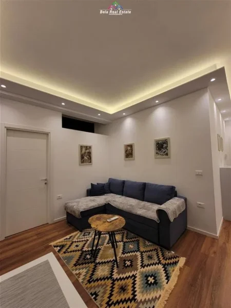 Tirane, jepet me qera Vile 1+1+Ballkon Kati 1, 50 m² 600 € (rruga e durresit)
